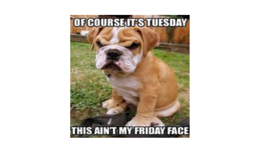 Wednesday webinars moved to Tuesdays!